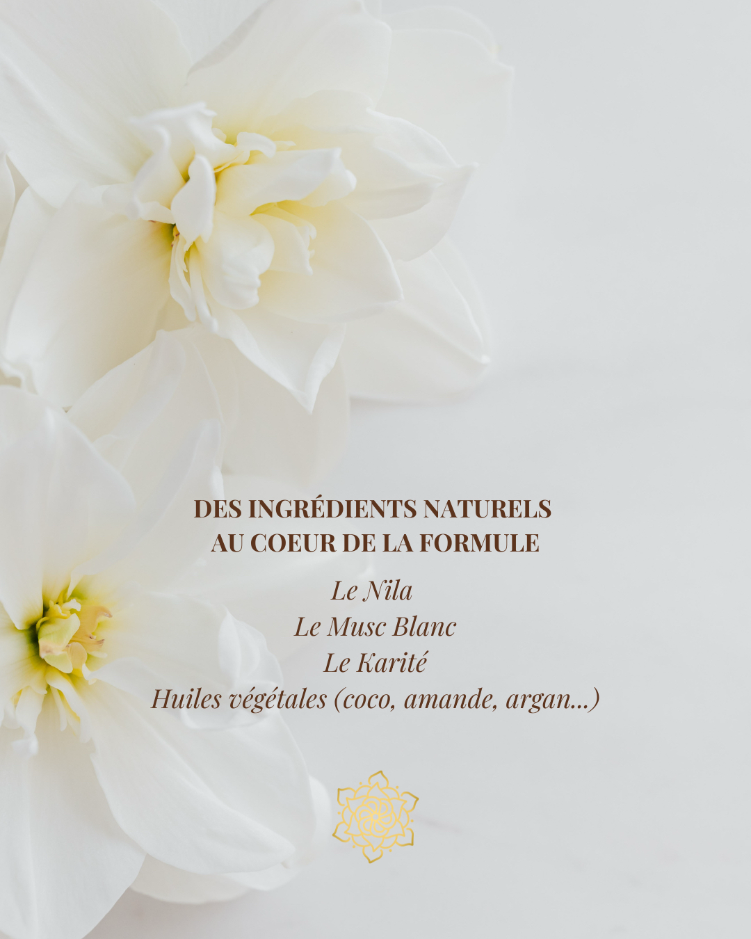 Chantilly Marrakech – Nila et Musc Blanc