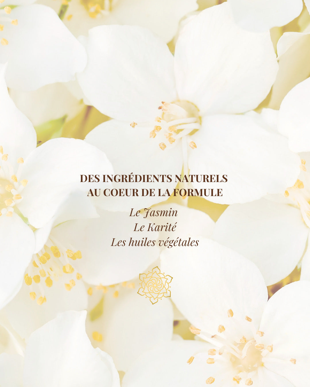 Chantilly Bali – Jasmin des Îles